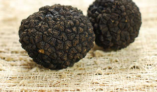 a product from the Truffles & Truffle Products category